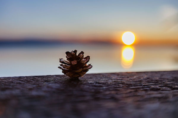 Коттедж с панормаными видом на Сямозеро №1